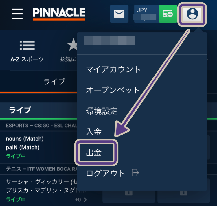 ピナクル銀行送金の出金方法